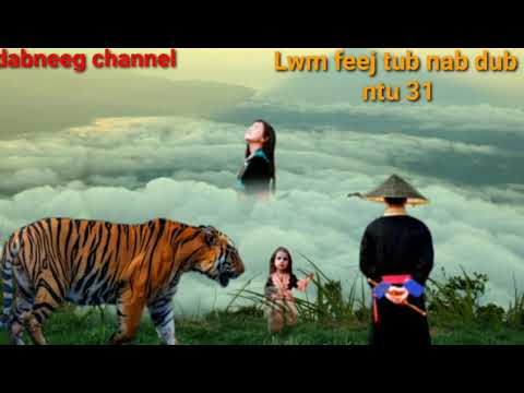 Lwm feej tub nab dub ntu 31-yawg thoj tswv tuam