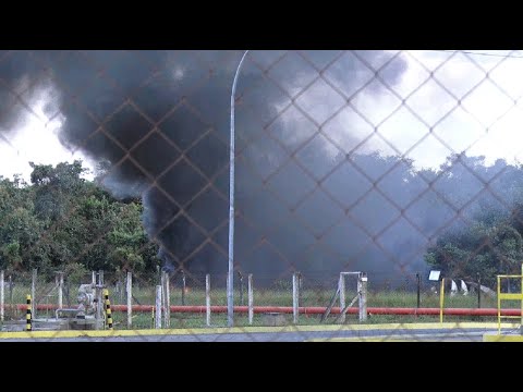 Área de mato em empresa pega fogo no Distrito Industrial