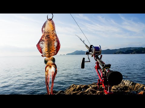 youtube-旅・海外記事2025/10/11 16:21:59