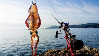 港近くの小さな無人島で冬の36時間クエ釣りキャンプ🔥