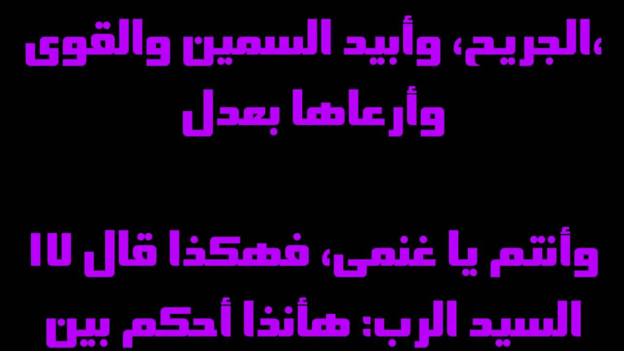 فيديو تفسير الكتاب المقدس | الكتاب المقدس رفيقي