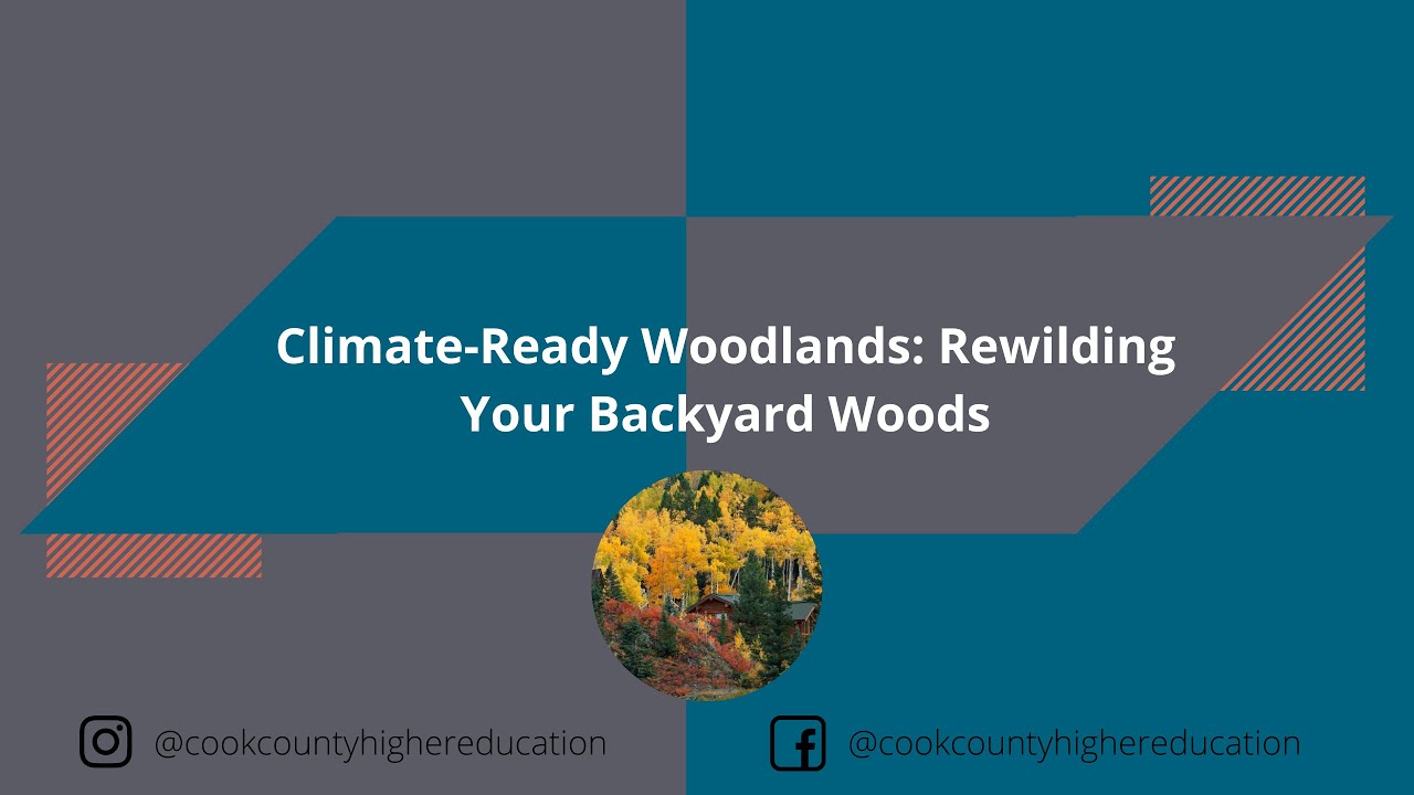 Climate-Ready Woodlands: Rewilding Your Backyard