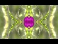 Brian Eno - And Then So Clear