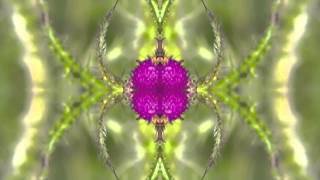 Brian Eno - And Then So Clear