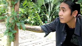 Download lagu Single baru - by James Jacob -  VIDEO mp3