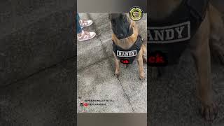 Download lagu MENCURIGAKAN LUH #shorts mp3 Download lagu MENCURIGAKAN LUH #shorts mp3