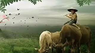 Download lagu Dunia _ Elvy sukaesih ' Om Pancaran Muda mp3