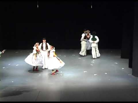 Ansambl Zabok 50. godina djelovanja