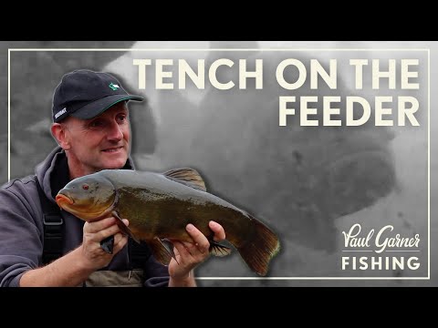 Tench Fishing : Feeder Fishing