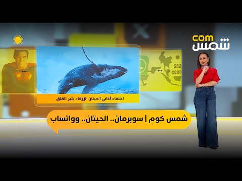 فيديو | شمسcom | سوبرمان ينضم لوكالة الهجرة، صمت الحيتان الزرقاء، وإغلاق ملايين حسابات واتساب
