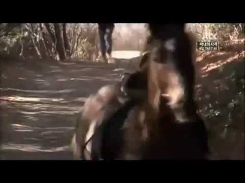 T-ara Eunjung- the strongest woman of korea