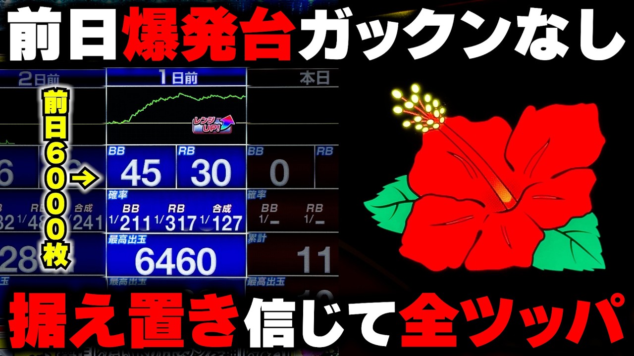【ハナハナ】前日6000枚OVERの高設定台!? 据え置き狙いで全ツッパした結果...【パチンカス養分ユウきのガチ実践#453 】