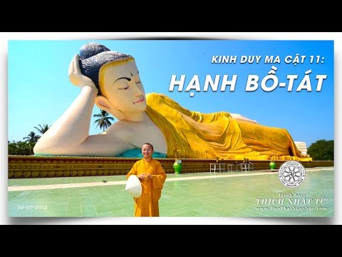 Kinh Duy Ma Cật 11: Hạnh Bồ Tát (10/07/2012) Thích Nhật Từ