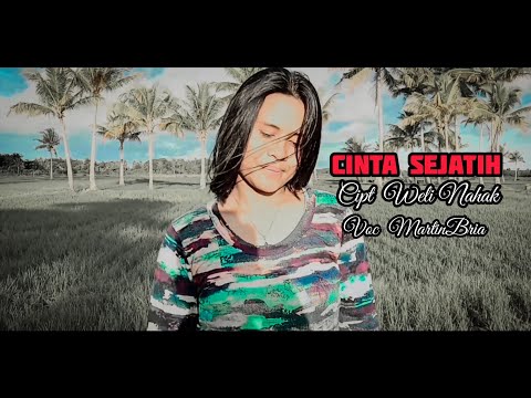 LAGU POP_ TERBARU_2022_Martinbria_ CINTA SEJATIH