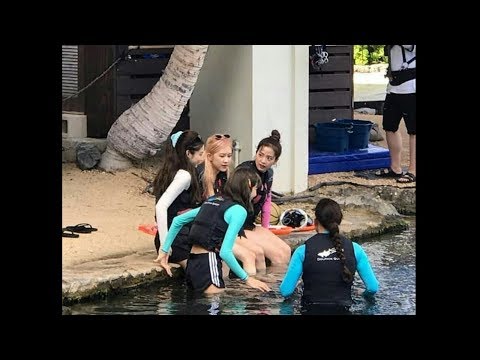 170917-Blackpink spotted in Hawaii #Blackpink #Hawaii #Lisa #Jennie #ROSÉ #JISOO