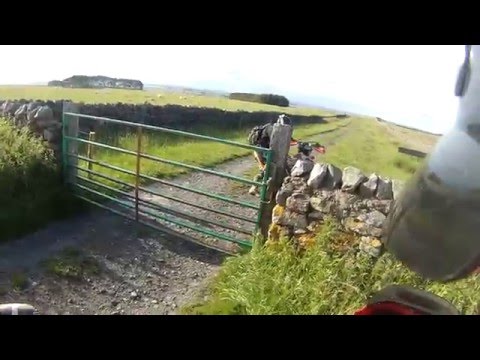 Haydon Bridge - Blackhall Lane & Dinnetley Lane (Byway. S-N)