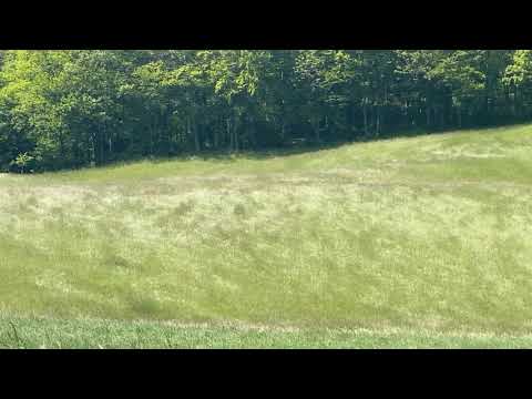 Eptingen 29.5.2021.wmv