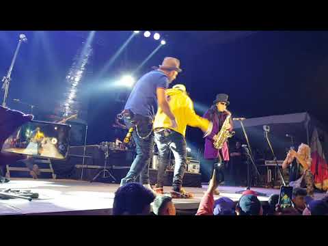 Pachuco -  Sax y los auténticos decadentes ,,