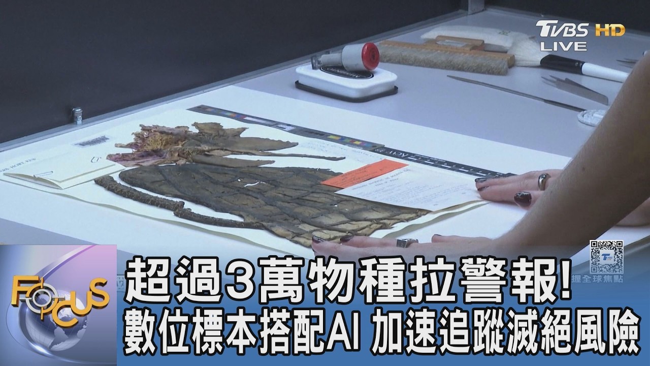 超過3萬物種拉警報！數位標本搭配AI加速追蹤滅絕風險