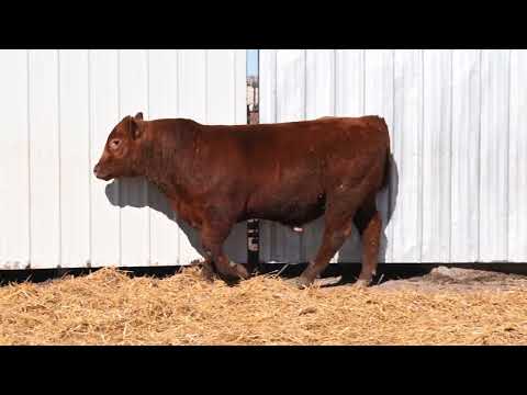 Listing 51769903846-video