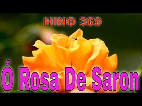 Louvores CCB  Hino 360 Ó Rosa De Saron