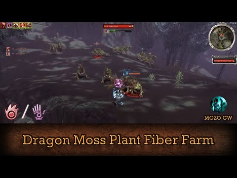 Dragon Moss/Plant Fiber, Shockwave Farm -  Guild Wars Elementalist Farm E/Me - HM