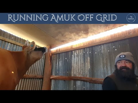 Nature Can Be Cruel Off Grid | S2 E1