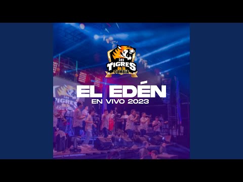 Homenaje a Edwin Alcántara: (Ya la Perdí / Mentiras / Hay Que Saber Perder)