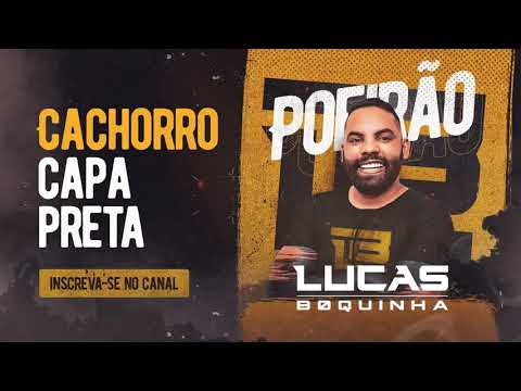Lucas Boquinha - Cachorro Capa Preta
