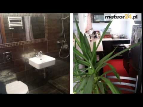 Kwalerka Nad Morzem - Gdańsk meteor24.pl