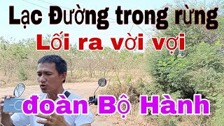 LẠC ĐƯỜNG các anh em Đi tìm lối ra... nguy