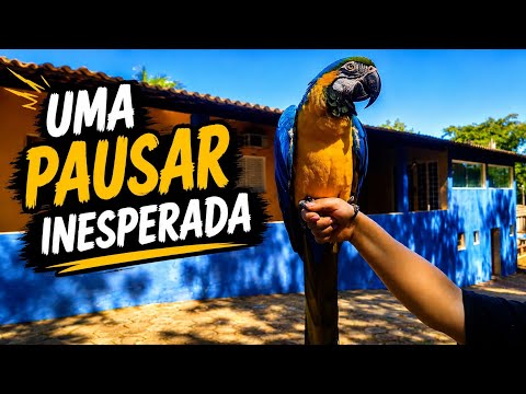 Sítio da blue # Paulicéia São Paulo 