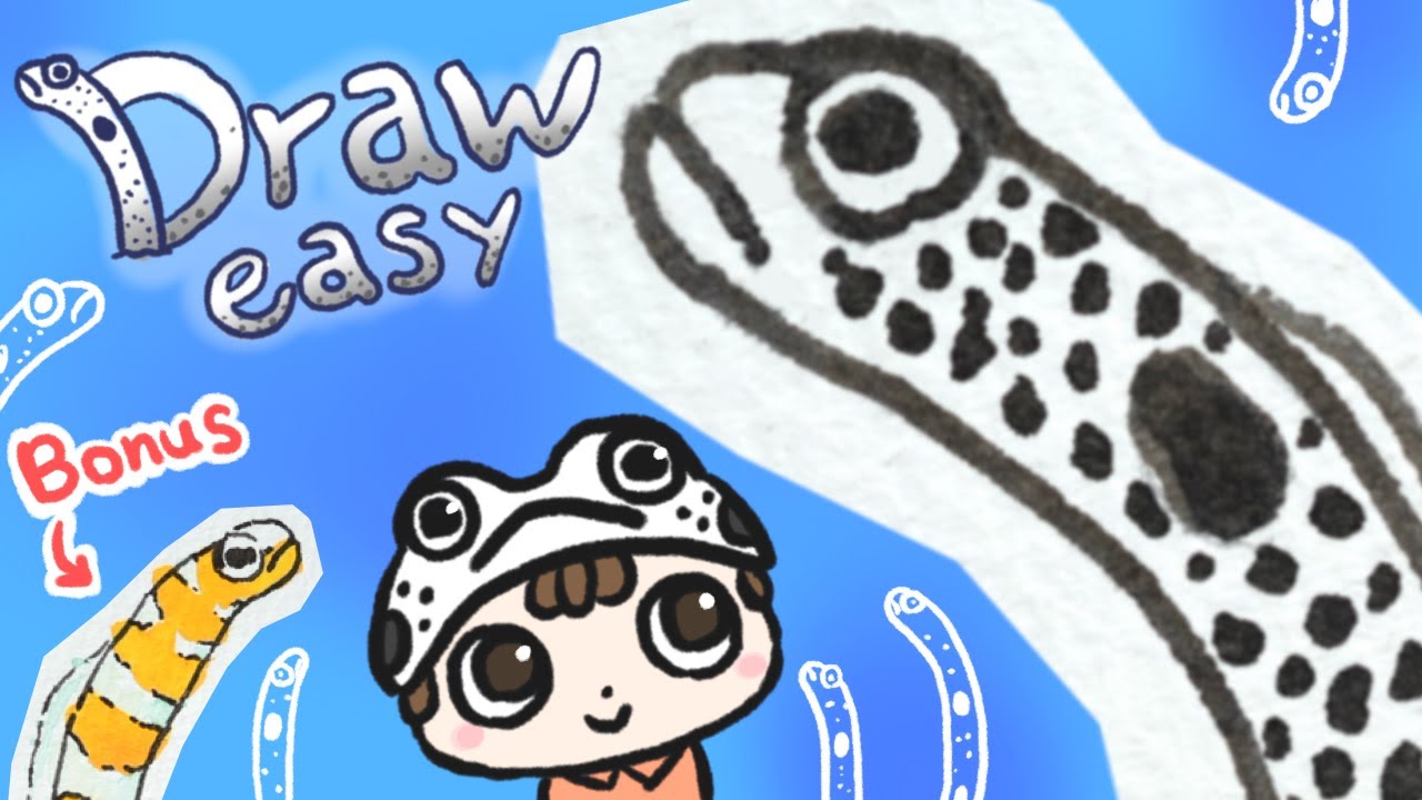 Easy! How to Draw a Spotted Garden Eel and Splendid Garden Eel