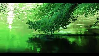 xxxtentacion - never (slowed + reverb) w/ quiet rain