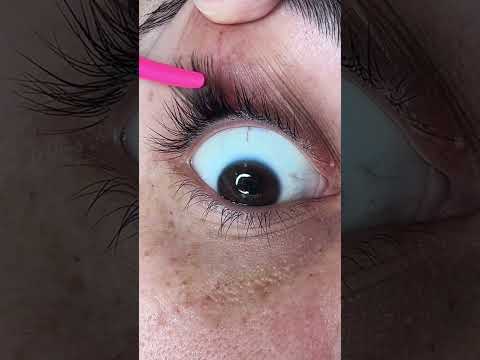 tips of cluster lashes
