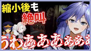 事業縮小後も止まらない絶叫、身内が一番怖い閉店事件【ホロスターズ切り抜き/水無世燐央/アステル・レダ/羽継烏有】