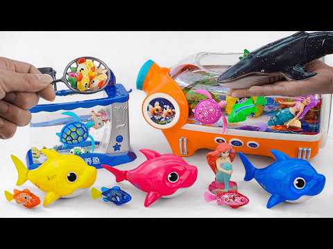 [Toy asmr] Stunning Whale & RC Shark & Baby Shark & Zuru Aquarium ASMR Satisfying with Unboxing