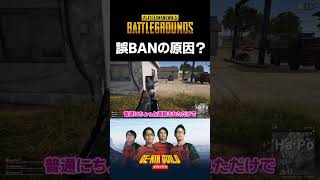 誤BANされた原因ってもしかして…？【PUBG】