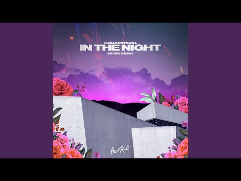 In the Night (Sevek Remix)