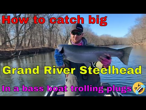 Michigan steelhead fishing 2022 - Grand River Giant!!