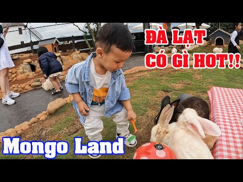 Tin Tin Explores the Zoo: Fun and Educational Adventure for Kids!