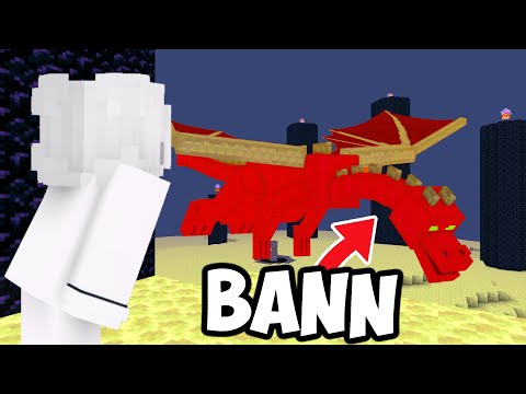 SO HABE ICH DEN ENDERDRACHEN IN MINECRAFT GEFANGEN
