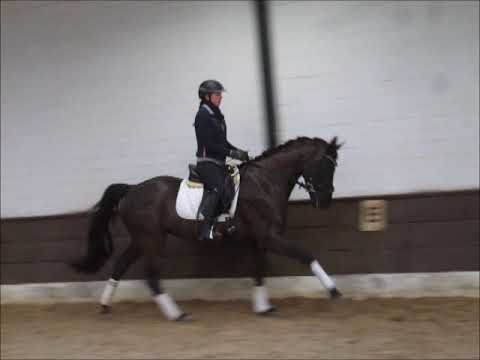 FLAMARA 4j. v. Finest Sherlock Holmes VB 8.000,- Euro