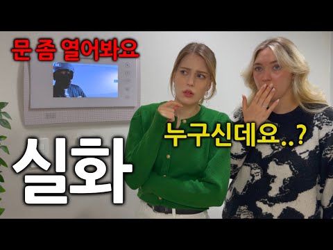 독일여자들이 한국에서 배달을 무서워하는 이유 (이런 속도는 말도 안됩니다..)