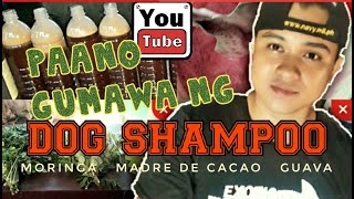 Part 1|PAANO GUMAWA NG DOG SHAMPOO (Madre De Cacao, Moringa & Guava)