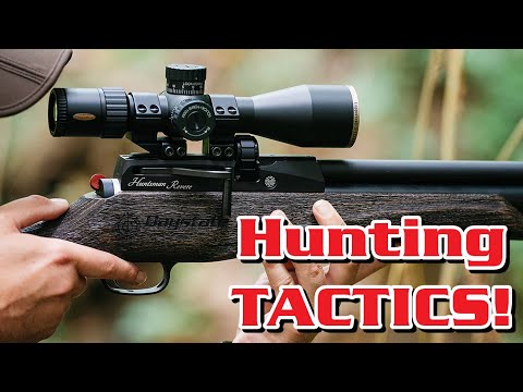 Hunting tactics in the Summer with the Daystate Huntsman Revere Safari Edition