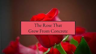 The Rose That Grew From Concrete (by Tupac Shakur)