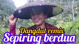 Download lagu SEPIRING BERDUA _ dangdut remix populer sepanjang masa mp3 Download lagu SEPIRING BERDUA _ dangdut remix populer sepanjang masa mp3