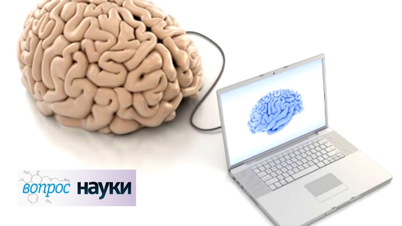 Интерфейс мозг компьютер Вопрос науки с Алексеем Семихатовым