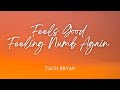 Feels Good Feeling Numb Again By Zach Bryan